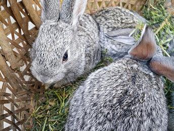 Epic表示游戏商城免费送游戏活动将继续开展